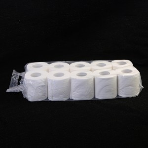 TOILET TISSUES ROLLS 2 PLY 250 SHEETS 10 ROLL - Image 2