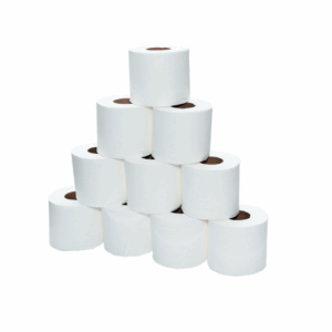 TOILET TISSUES ROLLS 2 PLY 250 SHEETS 10 ROLL
