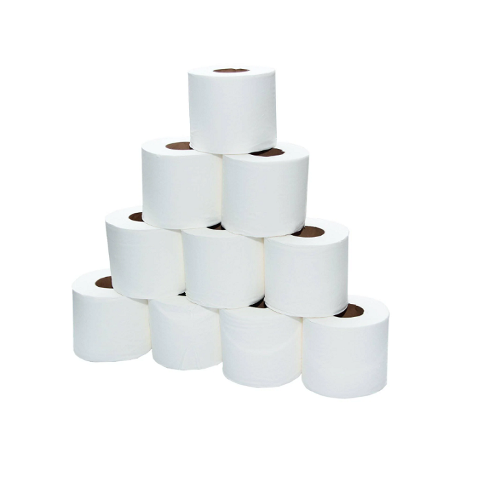 TOILET TISSUES ROLLS 2 PLY 250 SHEETS 10 ROLL